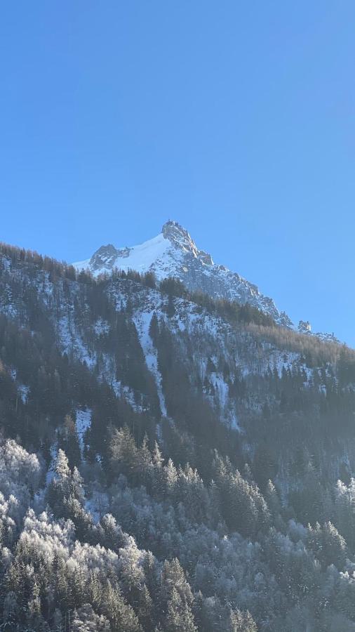 Chamois De Chamonix, Confortable 2 Pieces, Balcon, Parking Gratuit Екстер'єр фото